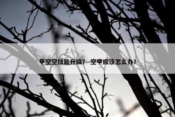 甲空空技能升级？ 空甲应该怎么办？