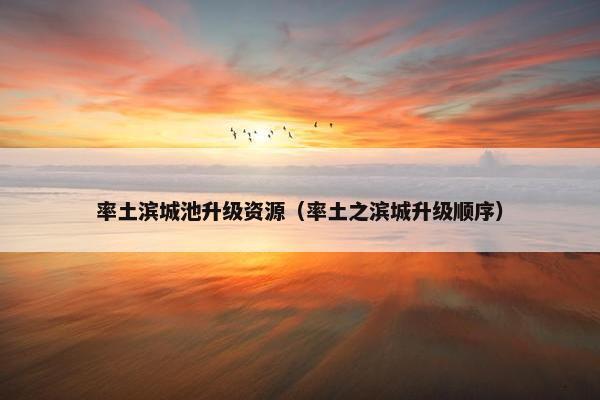 率土滨城池升级资源（率土之滨城升级顺序）