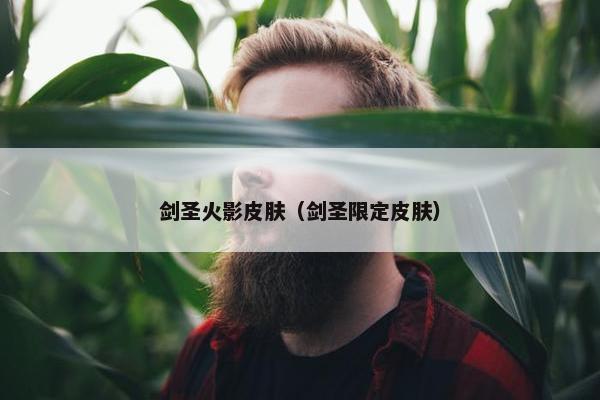 剑圣火影皮肤（剑圣限定皮肤）