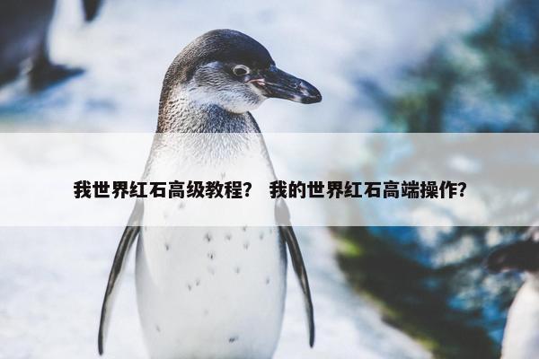 我世界红石高级教程？ 我的世界红石高端操作？