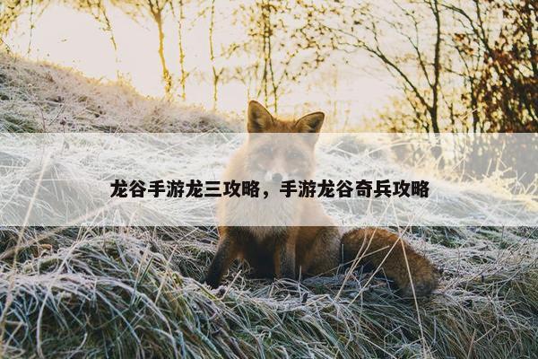 龙谷手游龙三攻略，手游龙谷奇兵攻略
