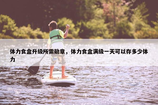 体力食盒升级所需勋章，体力食盒满级一天可以存多少体力