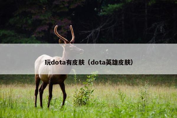 玩dota有皮肤（dota英雄皮肤）