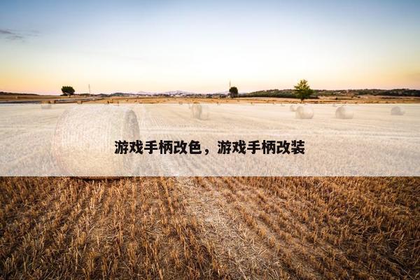 游戏手柄改色，游戏手柄改装