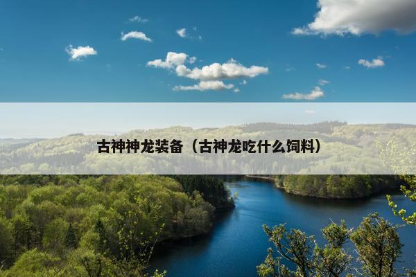 古神神龙装备（古神龙吃什么饲料）