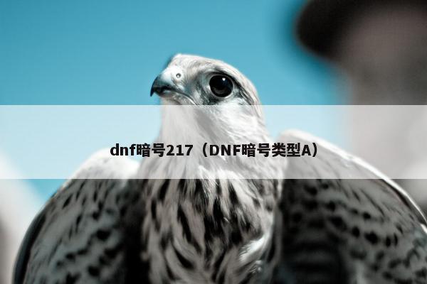 dnf暗号217（DNF暗号类型A）