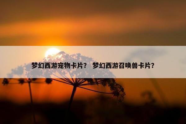 梦幻西游宠物卡片？ 梦幻西游召唤兽卡片？