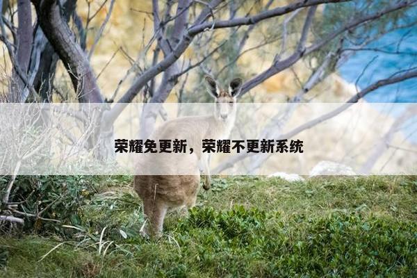 荣耀免更新，荣耀不更新系统