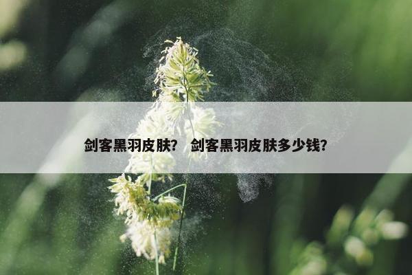 剑客黑羽皮肤？ 剑客黑羽皮肤多少钱？