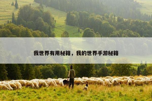 我世界有用秘籍，我的世界手游秘籍