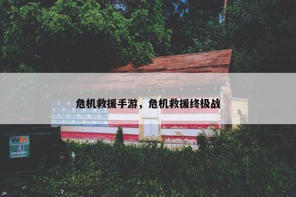 危机救援手游，危机救援终极战
