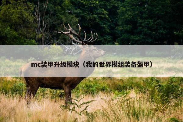 mc装甲升级模块（我的世界模组装备盔甲）