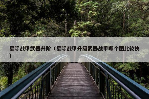 星际战甲武器升阶（星际战甲升级武器战甲哪个图比较快）