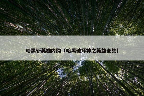 暗黑斩英雄内购（暗黑破坏神之英雄全集）