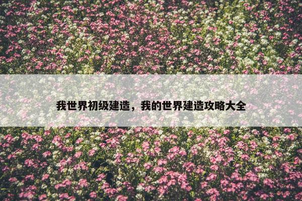 我世界初级建造，我的世界建造攻略大全