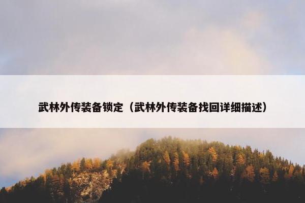 武林外传装备锁定（武林外传装备找回详细描述）
