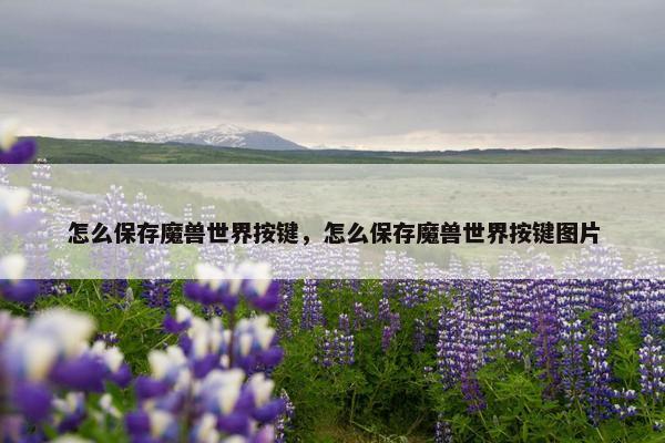 怎么保存魔兽世界按键，怎么保存魔兽世界按键图片