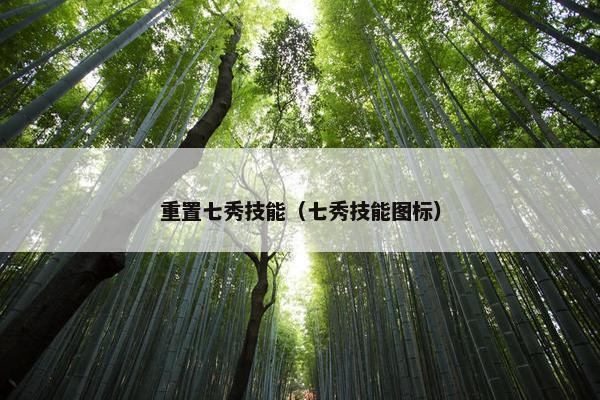 重置七秀技能（七秀技能图标）
