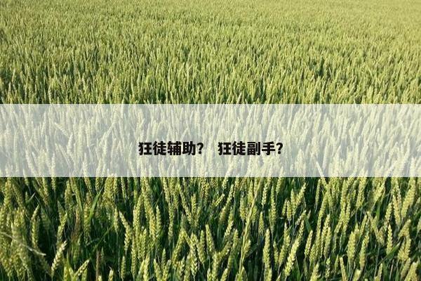 狂徒辅助？ 狂徒副手？