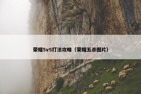 荣耀5v5打法攻略（荣耀五杀图片）