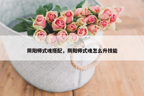 阴阳师式魂搭配，阴阳师式魂怎么升技能