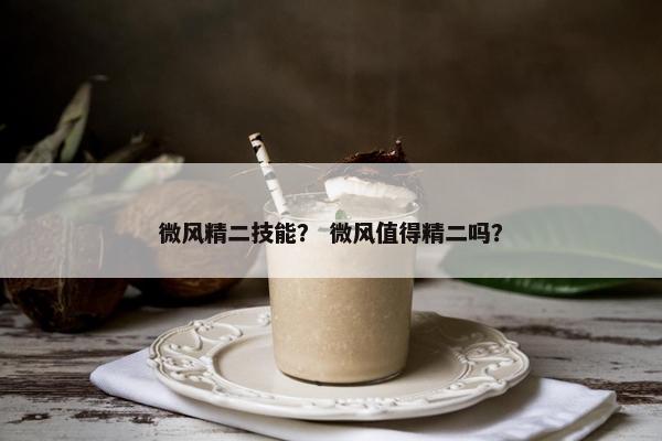 微风精二技能？ 微风值得精二吗？