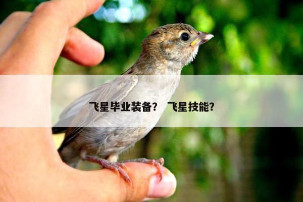 飞星毕业装备？ 飞星技能？