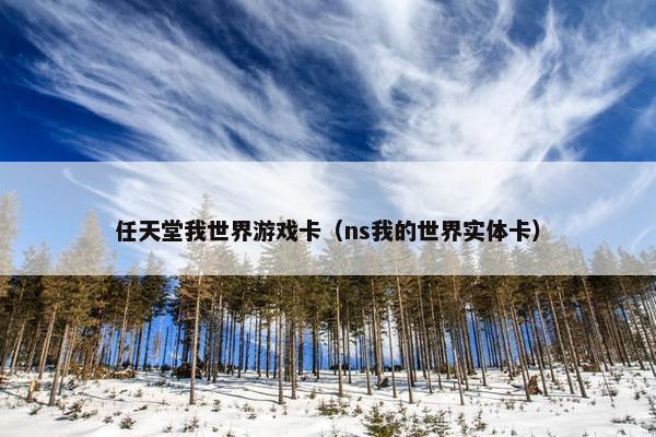 任天堂我世界游戏卡（ns我的世界实体卡）