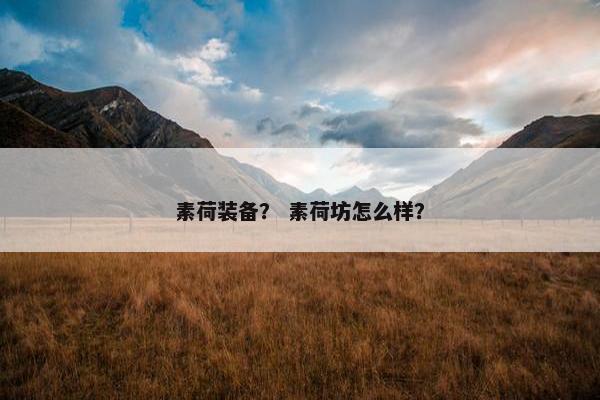 素荷装备？ 素荷坊怎么样？