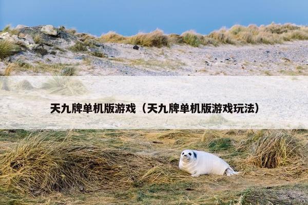 天九牌单机版游戏（天九牌单机版游戏玩法）