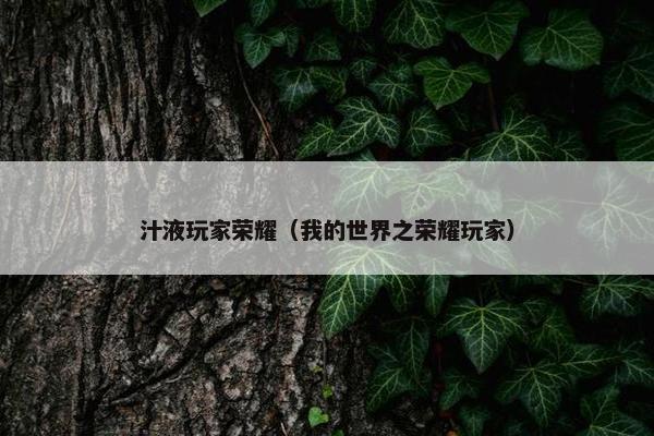 汁液玩家荣耀（我的世界之荣耀玩家）