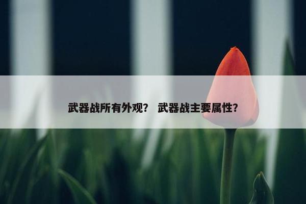 武器战所有外观？ 武器战主要属性？