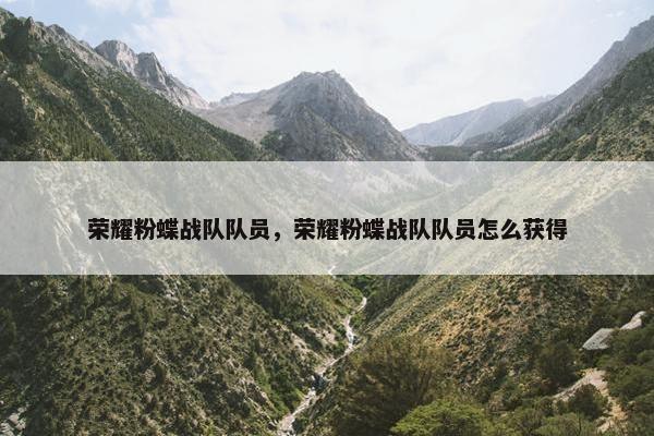荣耀粉蝶战队队员，荣耀粉蝶战队队员怎么获得