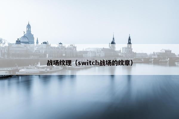 战场纹理（switch战场的纹章）