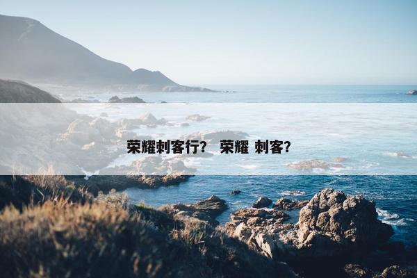 荣耀刺客行？ 荣耀 刺客？