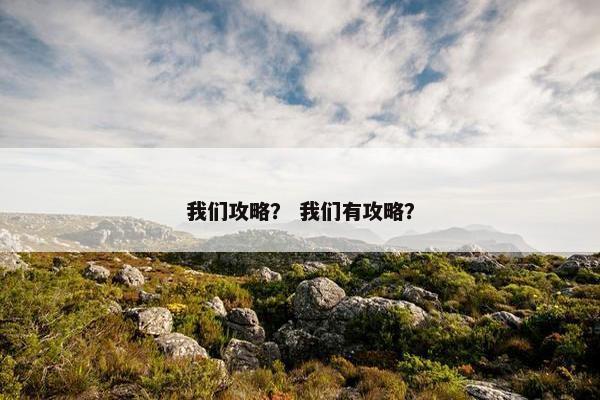 我们攻略？ 我们有攻略？