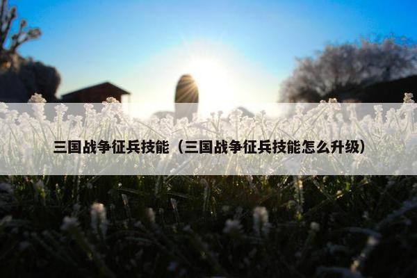 三国战争征兵技能（三国战争征兵技能怎么升级）