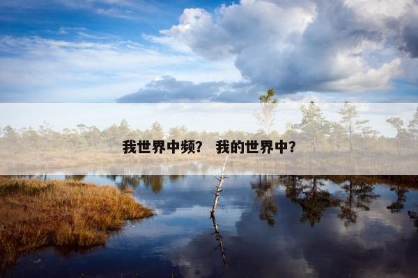 我世界中频？ 我的世界中？