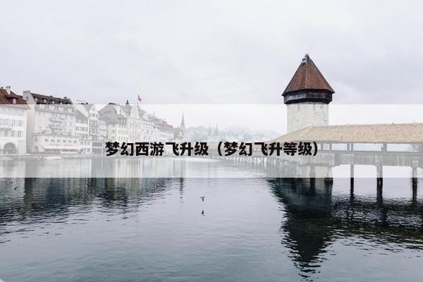 梦幻西游飞升级（梦幻飞升等级）