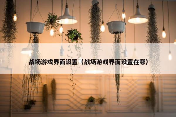 战场游戏界面设置（战场游戏界面设置在哪）