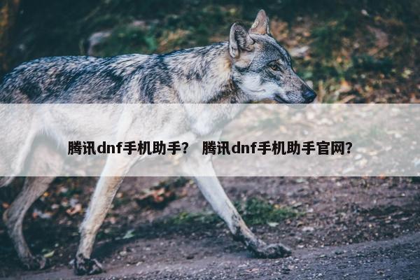 腾讯dnf手机助手？ 腾讯dnf手机助手官网？