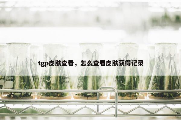 tgp皮肤查看，怎么查看皮肤获得记录