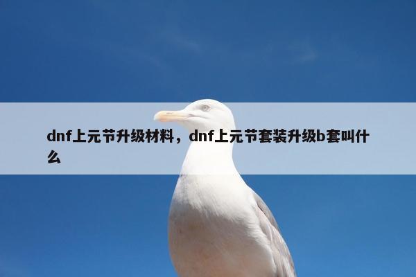 dnf上元节升级材料，dnf上元节套装升级b套叫什么