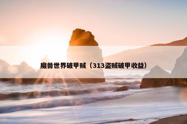 魔兽世界破甲贼（313盗贼破甲收益）