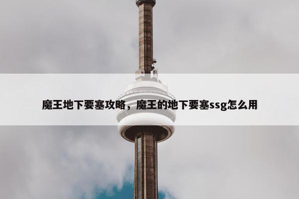魔王地下要塞攻略，魔王的地下要塞ssg怎么用