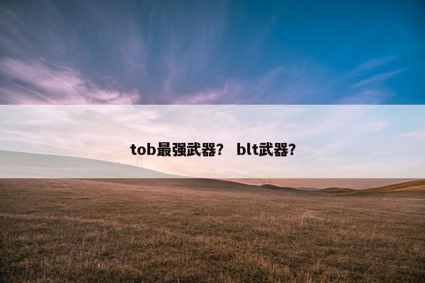 tob最强武器？ blt武器？