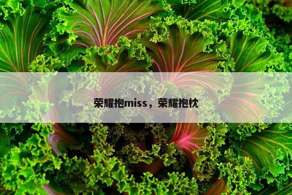 荣耀抱miss，荣耀抱枕