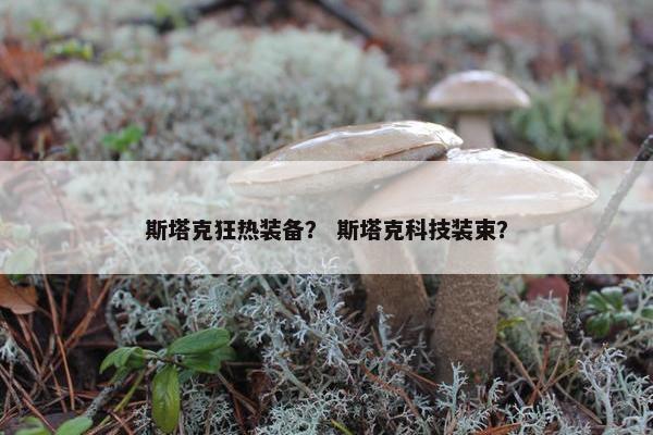 斯塔克狂热装备？ 斯塔克科技装束？