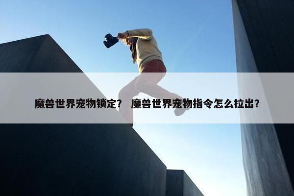 魔兽世界宠物锁定？ 魔兽世界宠物指令怎么拉出？