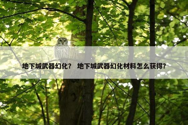 地下城武器幻化？ 地下城武器幻化材料怎么获得？